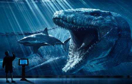 向往的生活第八季田园风光